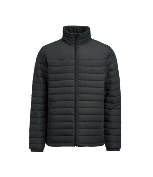 Arches Jacket