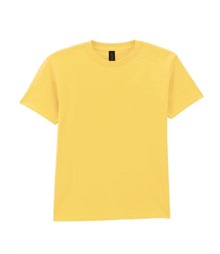 Softstyle Midweight Youth T-Shirt