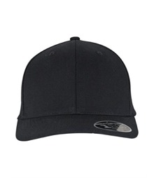110 Curved Snapback