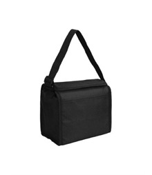 Cooler Bag