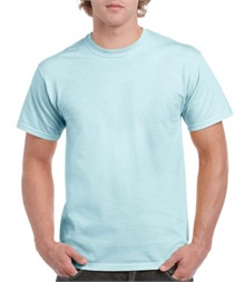 Adult T-Shirt